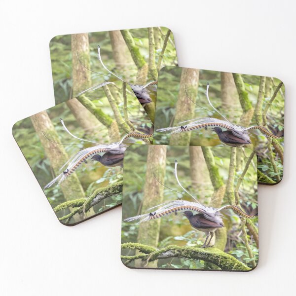 Item preview, Superb Lyrebird designed and sold by pawprintz.