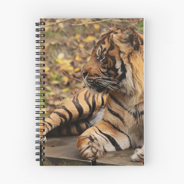 Item preview, The Watchful Ruler designed and sold by AspenEyesPhotography.