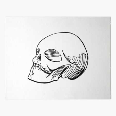 Simple Skull Images – Browse 30,001 Stock Photos, Vectors, and Video |  Adobe Stock