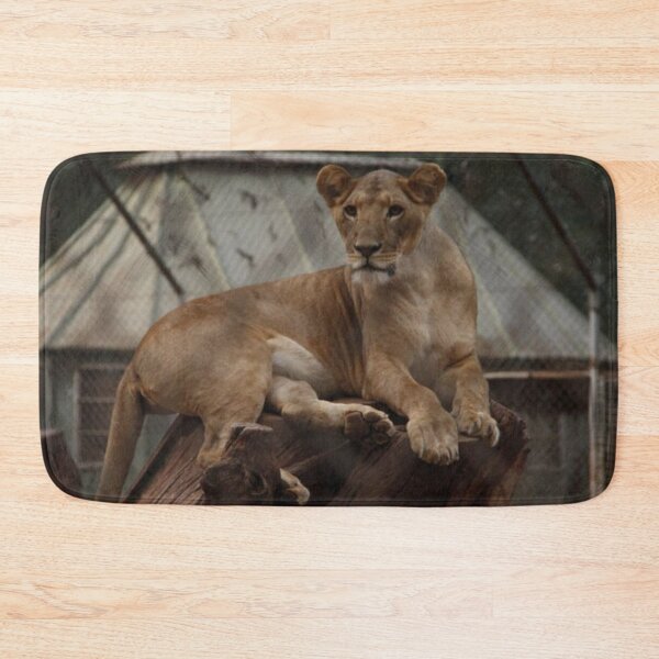 Item preview, A photo of a lion at Nairobi Animal Orphanage in Kenya! designed and sold by Jamesk82.