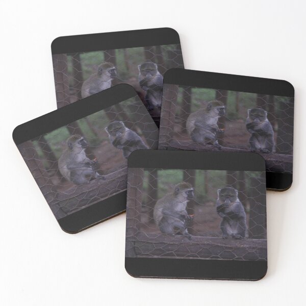 Item preview, Two cheeky monkeys eating a carrot at Nairobi National Park. designed and sold by Jamesk82.