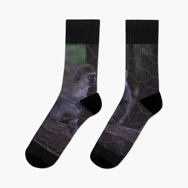 Item preview, Two cheeky monkeys eating a carrot at Nairobi National Park. designed and sold by Jamesk82.
