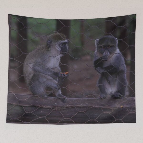 Item preview, Two cheeky monkeys eating a carrot at Nairobi National Park. designed and sold by Jamesk82.