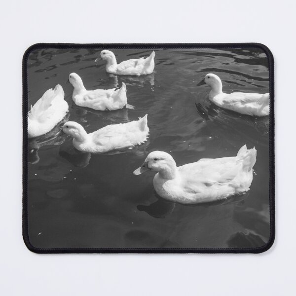Item preview, group of geese on a lake 2 designed and sold by felipequeiroz.