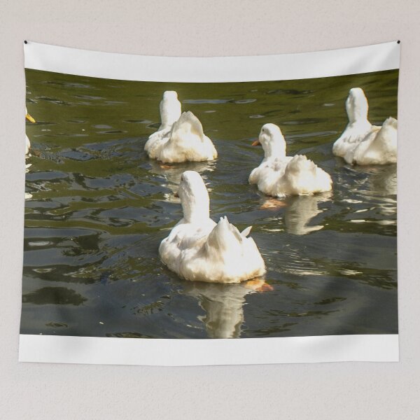 Item preview, group of geese on a lake 5 designed and sold by felipequeiroz.