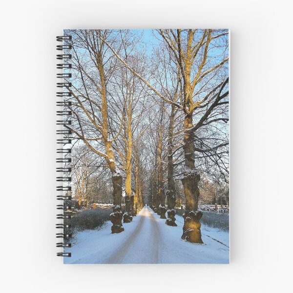 Item preview, Winter at the cemetery designed and sold by boogeyman.