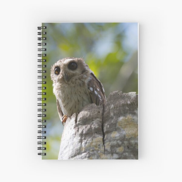 Item preview, Bare-legged Owl designed and sold by EnglandEcology.