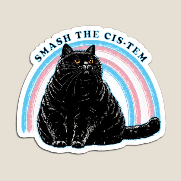 Aperçu de l'œuvre Écrasez le Cis-tem Chonky Cat créée et vendue par KilkennyCat Art.