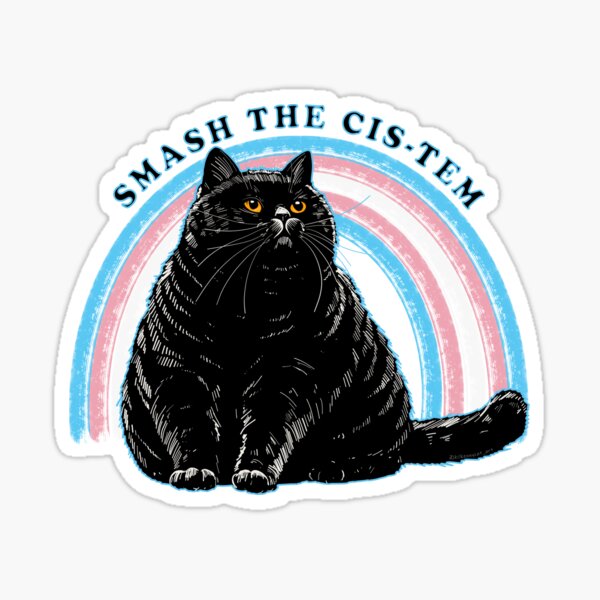 Item preview, Smash The Cis-tem Chonky Cat designed and sold by KilkennyCat Art.