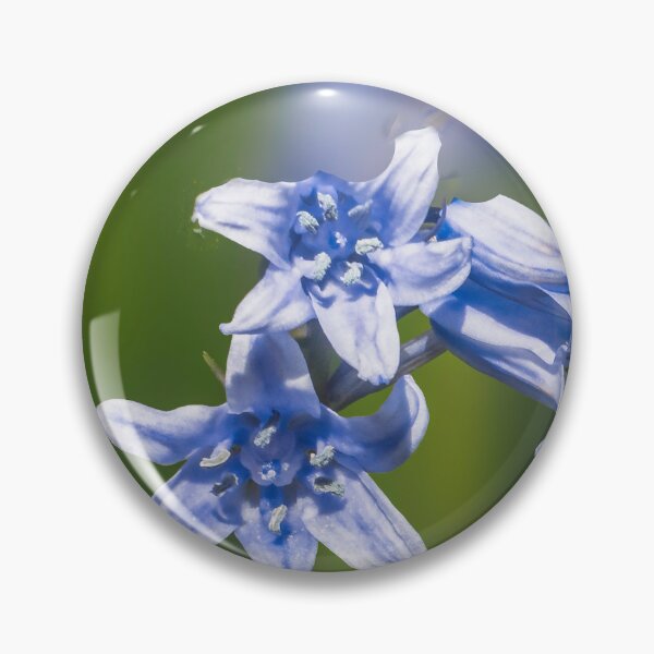 Item preview, bluebells with Christian message designed and sold by 1icreations.