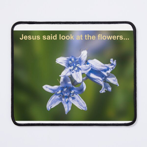 Item preview, bluebells with Christian message designed and sold by 1icreations.