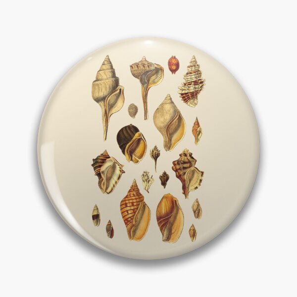 Item preview, Antique Seashell Collection Design designed and sold by IrisAndIvy.