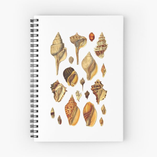 Item preview, Antique Seashell Collection Design designed and sold by IrisAndIvy.