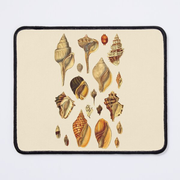 Item preview, Antique Seashell Collection Design designed and sold by IrisAndIvy.