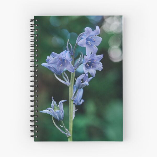 Item preview, Bluebells designed and sold by Tom McPherson Photography.