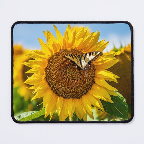 Item preview, Sunflower Butterfly designed and sold by SolsaasFocus.