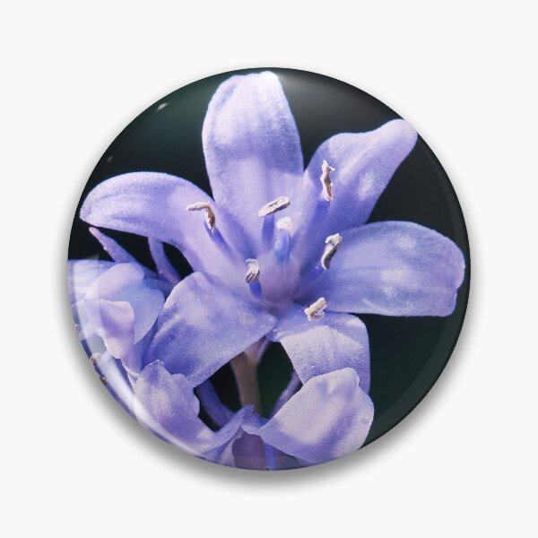 Item preview, The Bluebell designed and sold by Tom McPherson Photography.