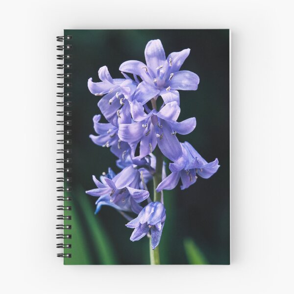Item preview, The Bluebell designed and sold by Tom McPherson Photography.