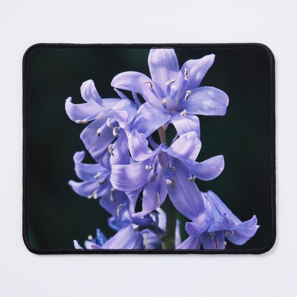 Item preview, The Bluebell designed and sold by Tom McPherson Photography.