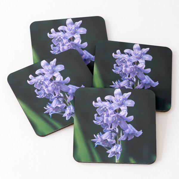 Item preview, The Bluebell designed and sold by Tom McPherson Photography.