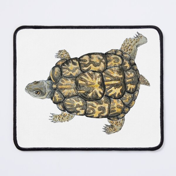 Item preview, Box Turtle Boogie designed and sold by ScruffyCrow.