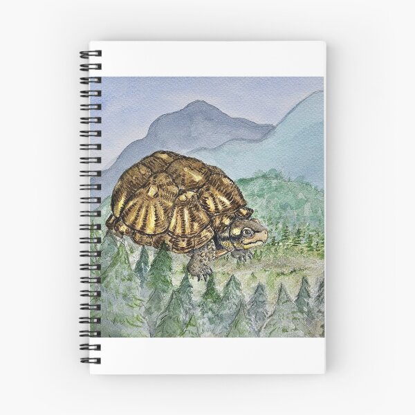 Item preview, Tortuga de caja gigante designed and sold by ScruffyCrow.