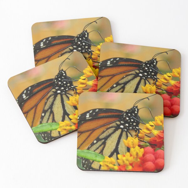 Item preview, Monarch Majesty designed and sold by AspenEyesPhotography.