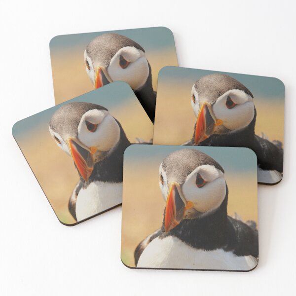 Item preview, The Curious Sea-Clown designed and sold by AspenEyesPhotography.
