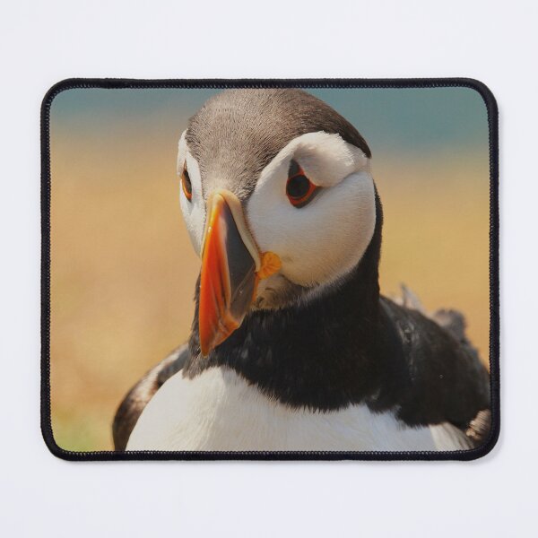Item preview, The Curious Sea-Clown designed and sold by AspenEyesPhotography.
