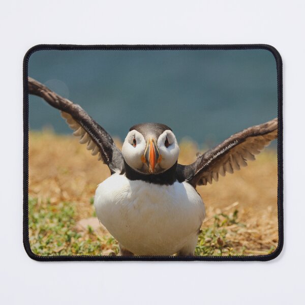 Item preview, Ready for Takeoff designed and sold by AspenEyesPhotography.