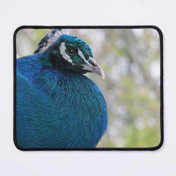 Item preview, Grace in Detail designed and sold by AspenEyesPhotography.