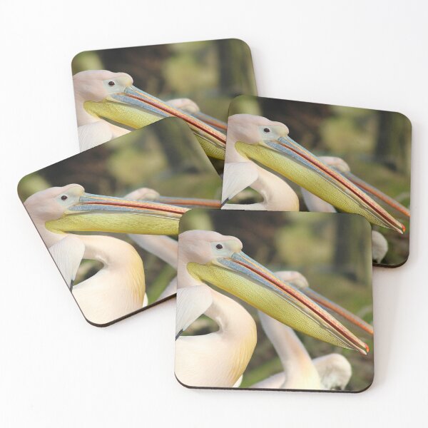 Item preview, Big Beak Energy designed and sold by AspenEyesPhotography.