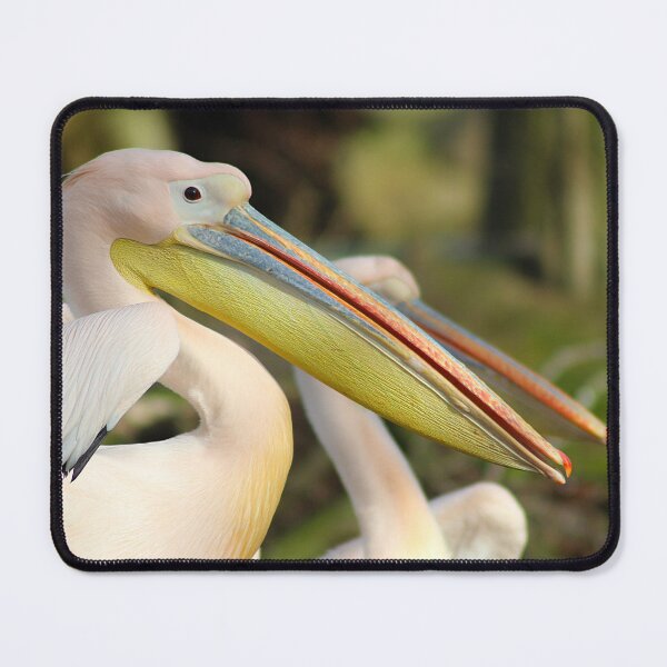 Item preview, Big Beak Energy designed and sold by AspenEyesPhotography.