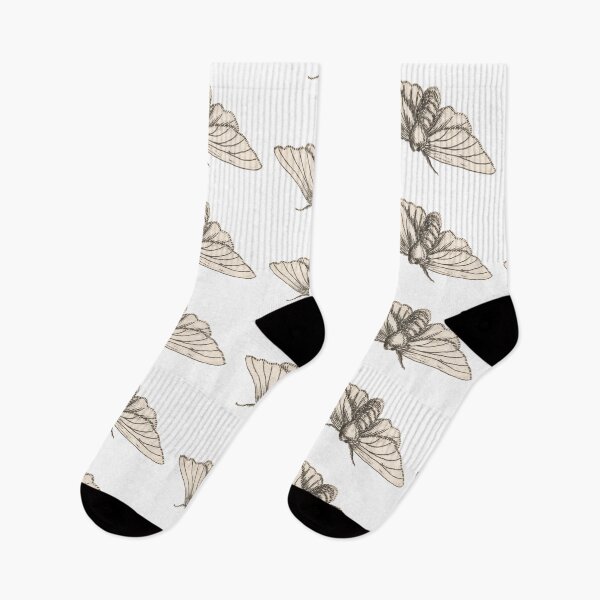 Item preview, Moth Drawing, Entomology Illustration  designed and sold by HawthorneFlame.