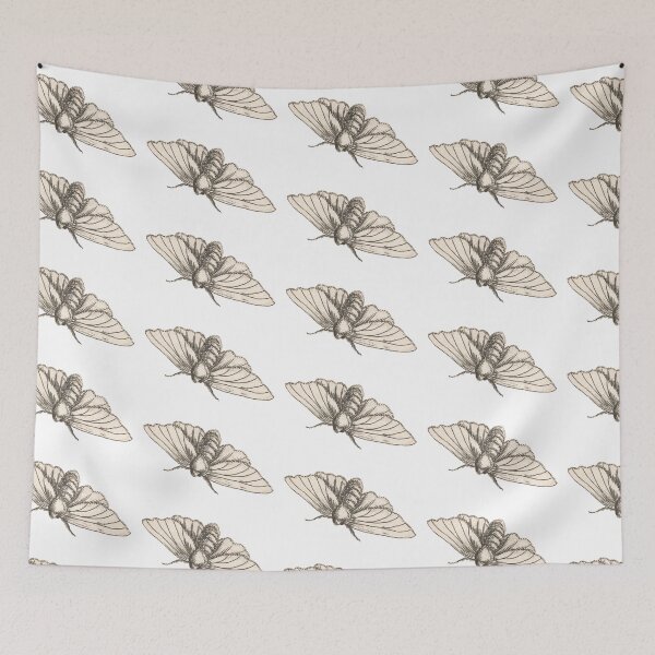 Item preview, Moth Drawing, Entomology Illustration  designed and sold by HawthorneFlame.