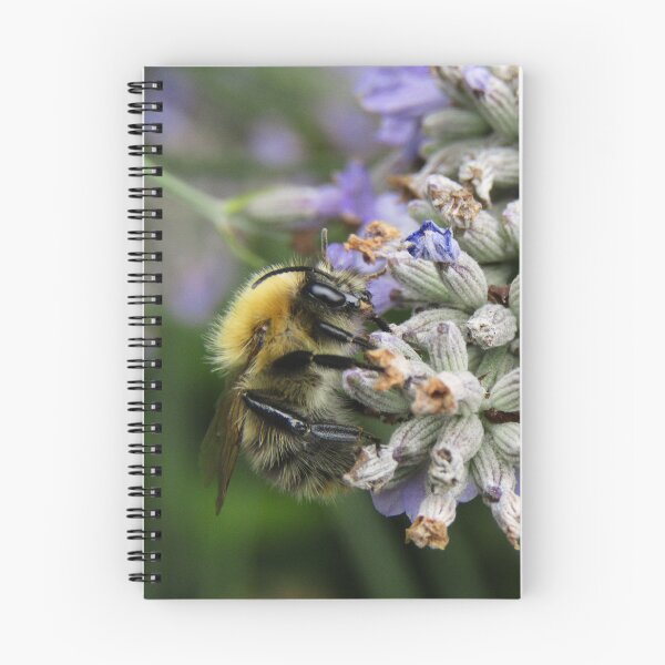 Item preview, In a Lavender Haze designed and sold by AspenEyesPhotography.