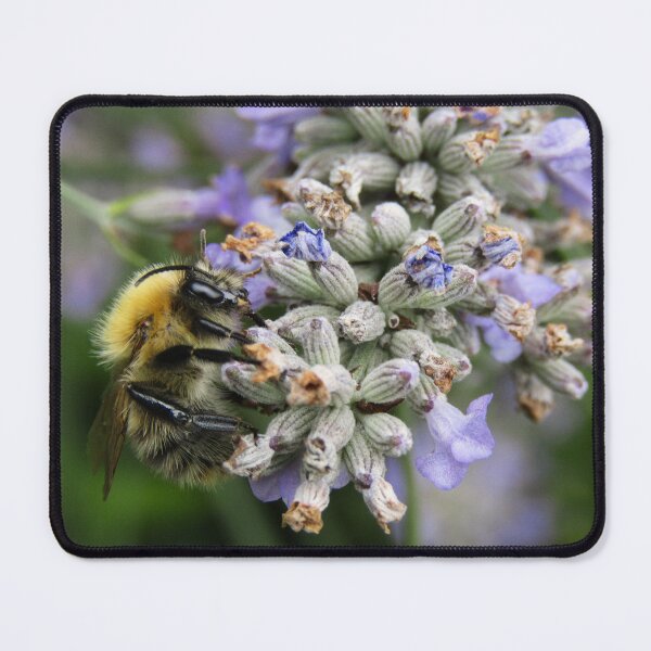 Item preview, In a Lavender Haze designed and sold by AspenEyesPhotography.