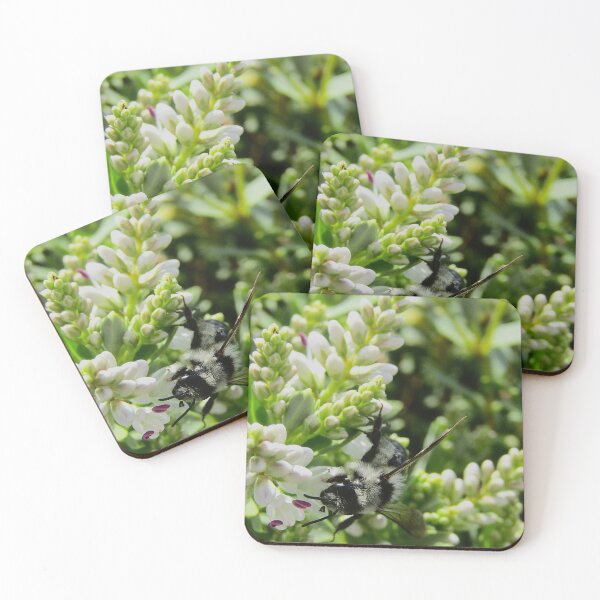 Item preview, The Power of Pollinators designed and sold by AspenEyesPhotography.