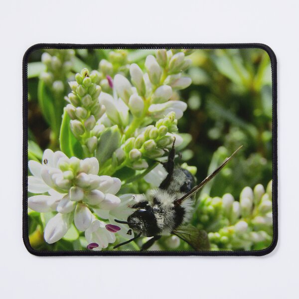 Item preview, The Power of Pollinators designed and sold by AspenEyesPhotography.