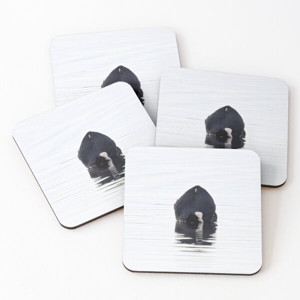 Item preview, Black and white. Eurasian coot designed and sold by Jouko Lehto Photography.