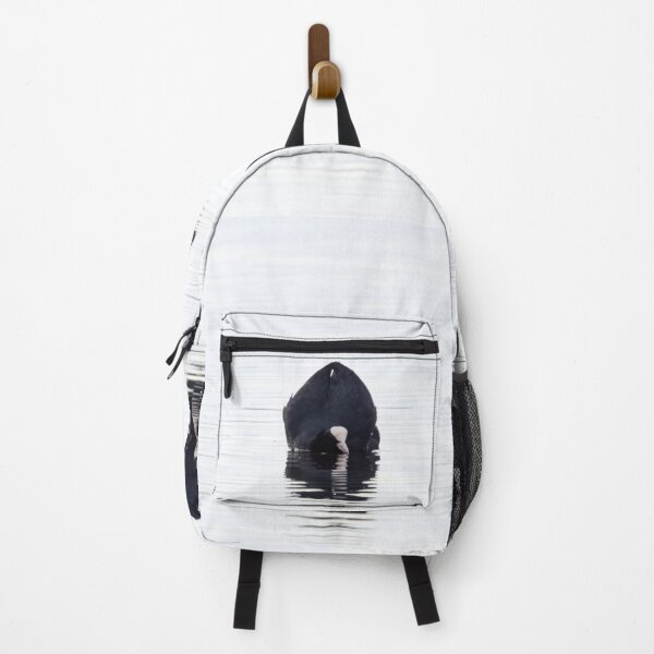Item preview, Black and white. Eurasian coot designed and sold by Jouko Lehto Photography.