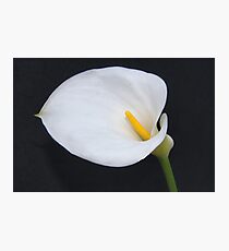 In Loving Memory Photographic Print