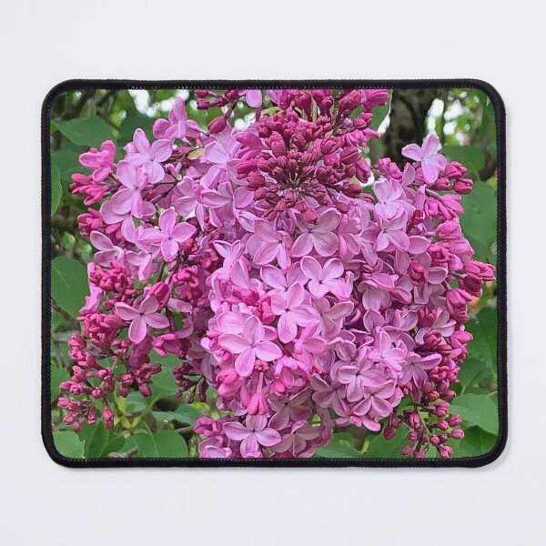 Item preview, Blooming Lilac designed and sold by veraD58.
