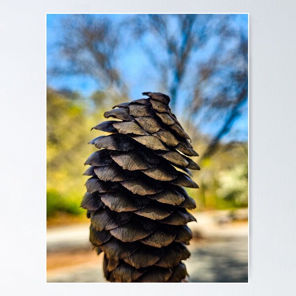 Item preview, Fall Vibes - Pine designed and sold by Jenyffercom.