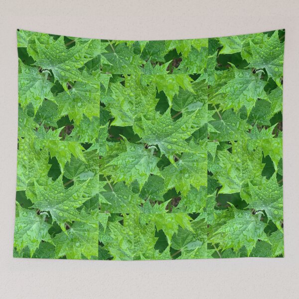 Item preview, Rain kissed leaves #3 designed and sold by veraD58.