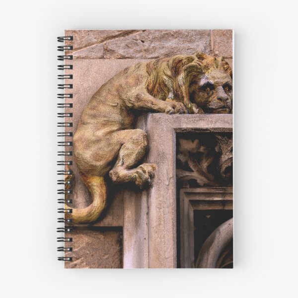 Artikelvorschau, Löwe ruht entworfen und verkauft von EmmePonsImages.