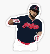 The Parrot Sticker