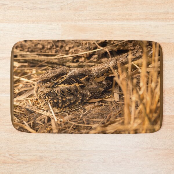 Item preview, Common Pauraque Snug In Its Surroundings designed and sold by Debra Martz.