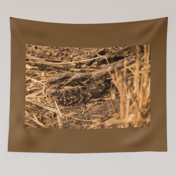 Item preview, Common Pauraque Snug In Its Surroundings designed and sold by Debra Martz.