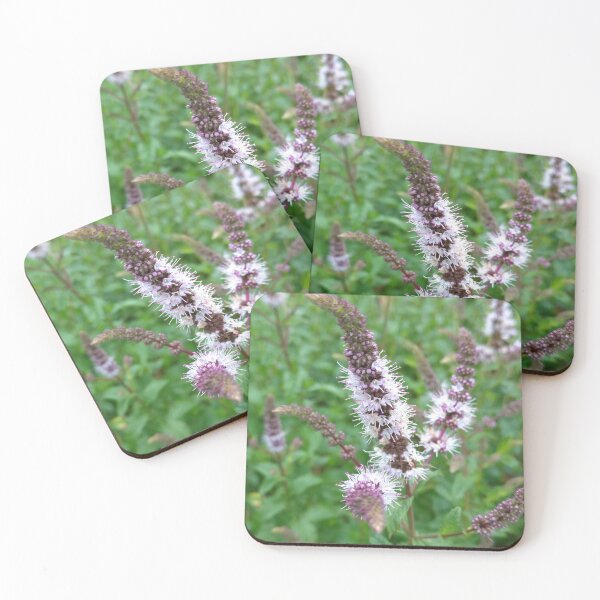 Item preview, Spearmint Garden Photograph designed and sold by A_Guy_With_Art_Supplies.